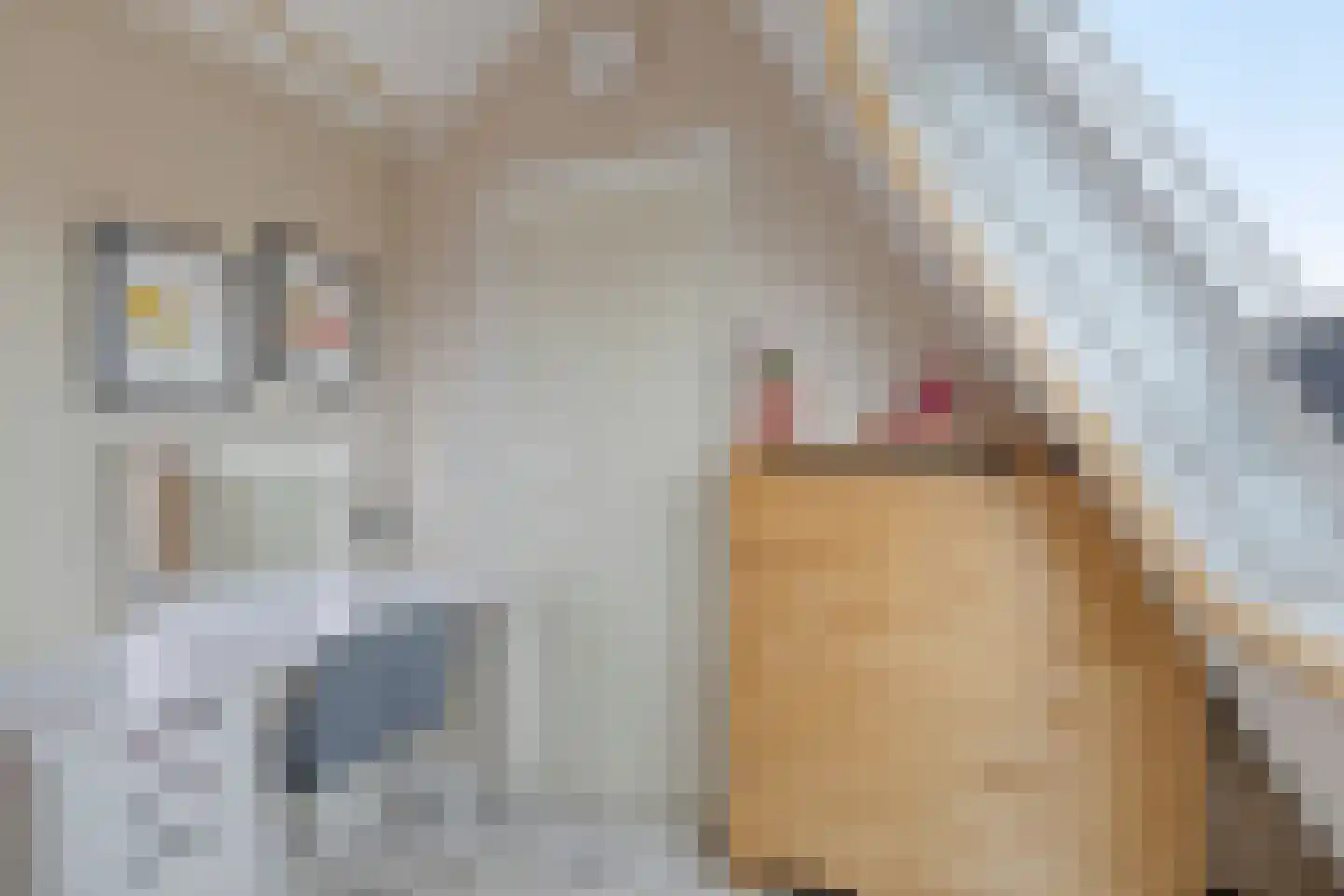 Bernadottestraat 17 Hoofddorp thumbnail 24