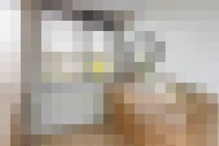 Bernadottestraat 21 Reeuwijk thumbnail 28
