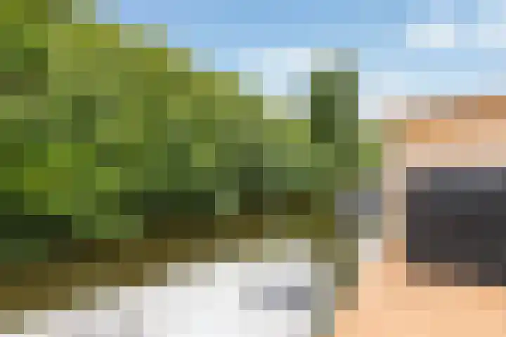 Bernadottestraat 21 Reeuwijk thumbnail 41