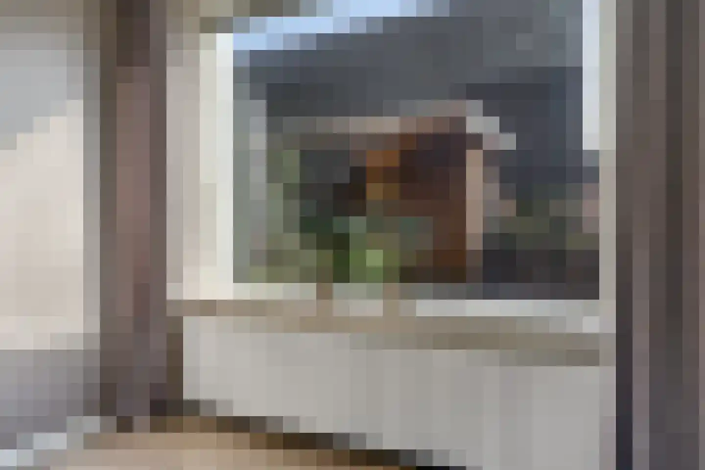 Bernadottestraat 3 Zetten thumbnail 15