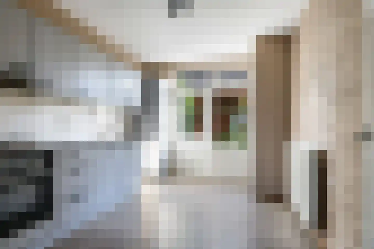 Bernadottestraat 3 Zetten thumbnail 20