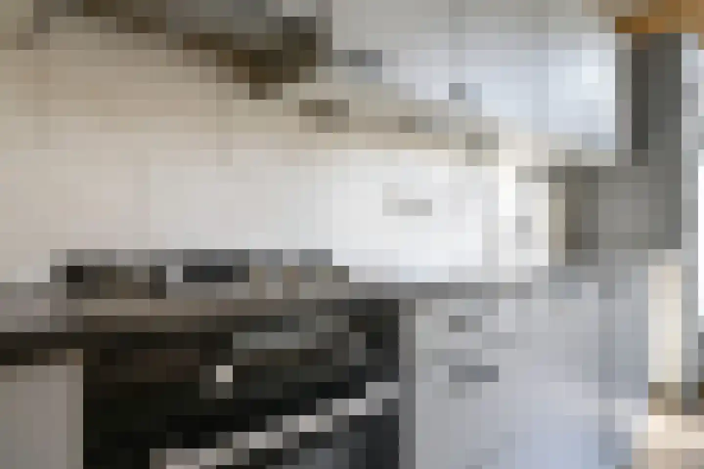 Bernadottestraat 3 Zetten thumbnail 22