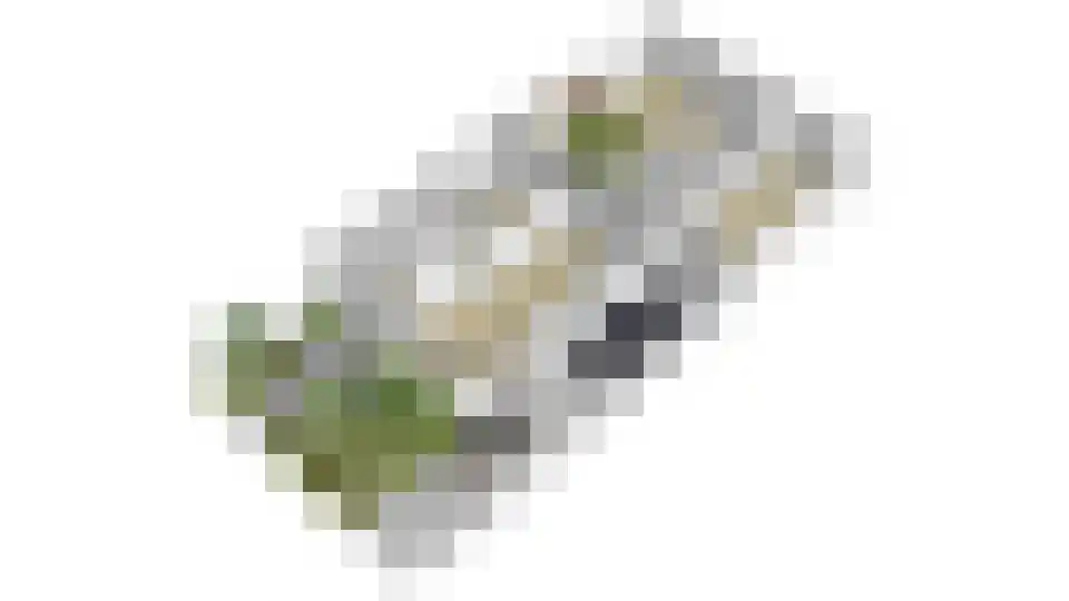 Bernadottestraat 3 Zetten thumbnail 46