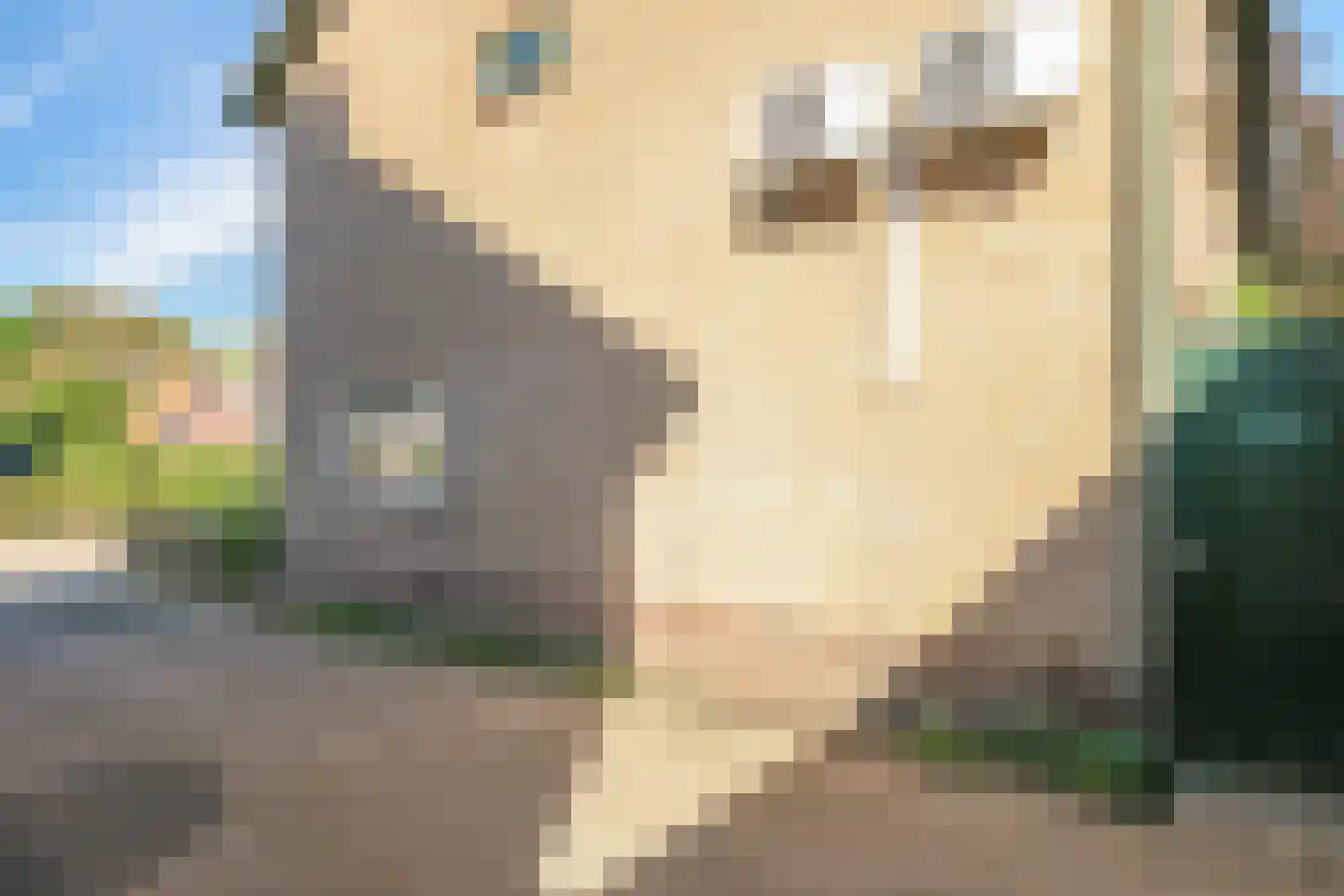 Bernadottestraat 3 Zetten thumbnail 63