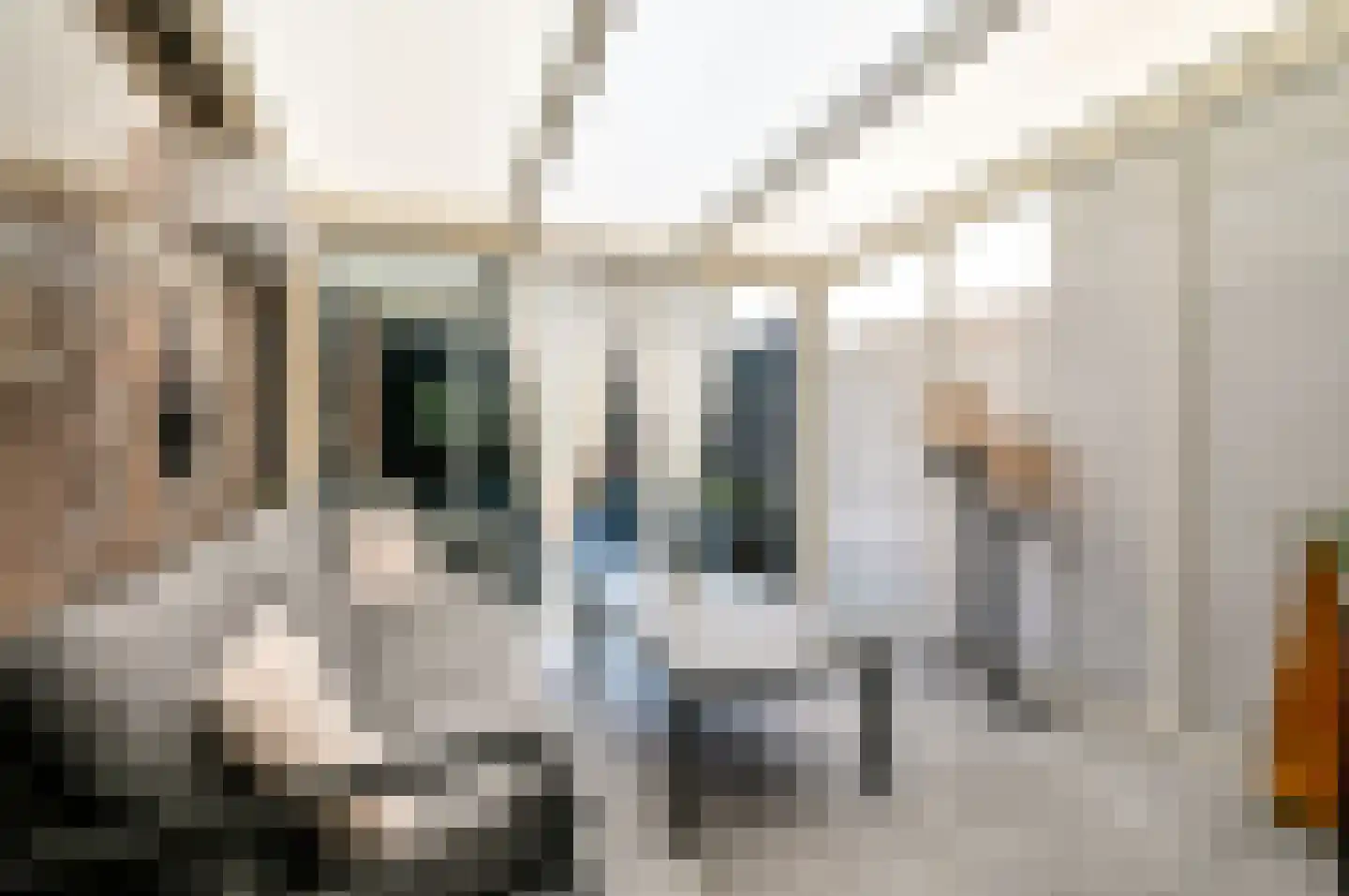 Bernadottestraat 47 Hoofddorp thumbnail 27