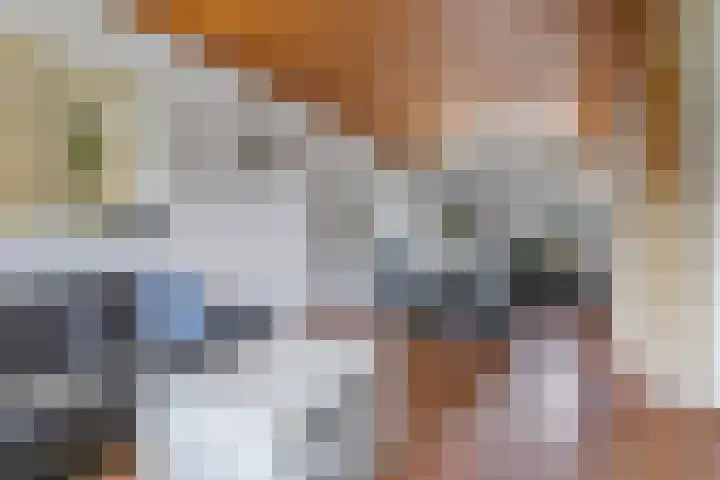 Bernadottestraat 5 Zetten thumbnail 13