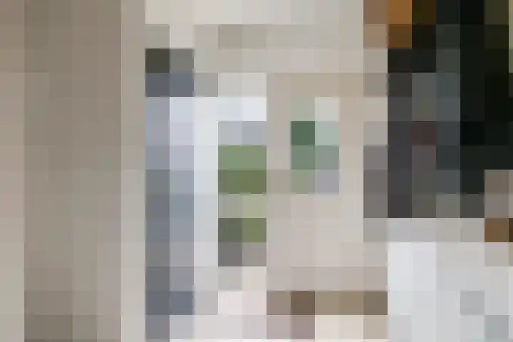 Bernadottestraat 5 Zetten thumbnail 20