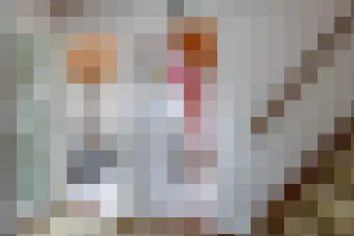 Bernadottestraat 5 Zetten thumbnail 30
