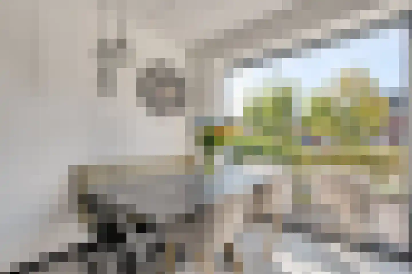 Bernagie 4 Meppel thumbnail 11