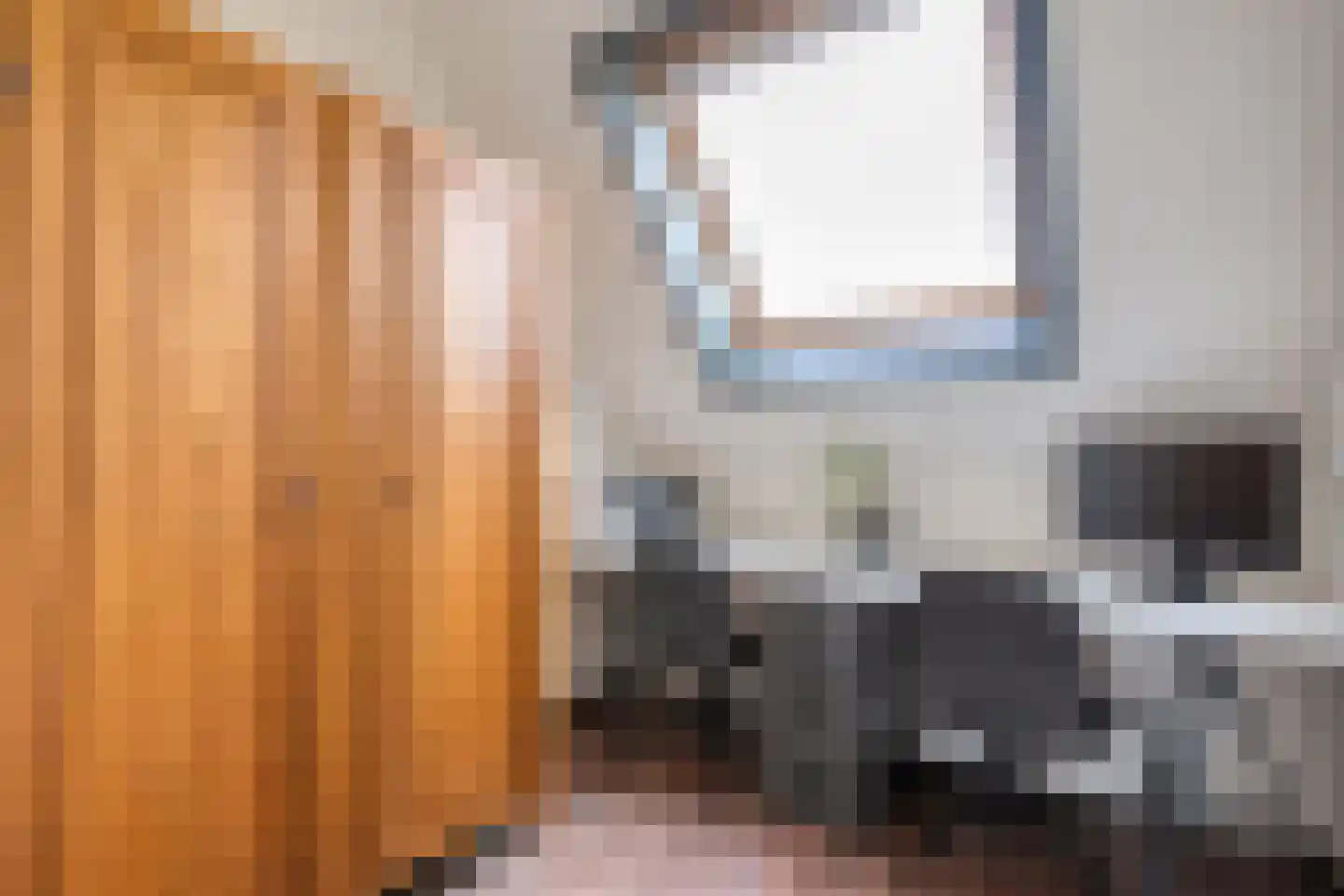Bernagie 4 Meppel thumbnail 22