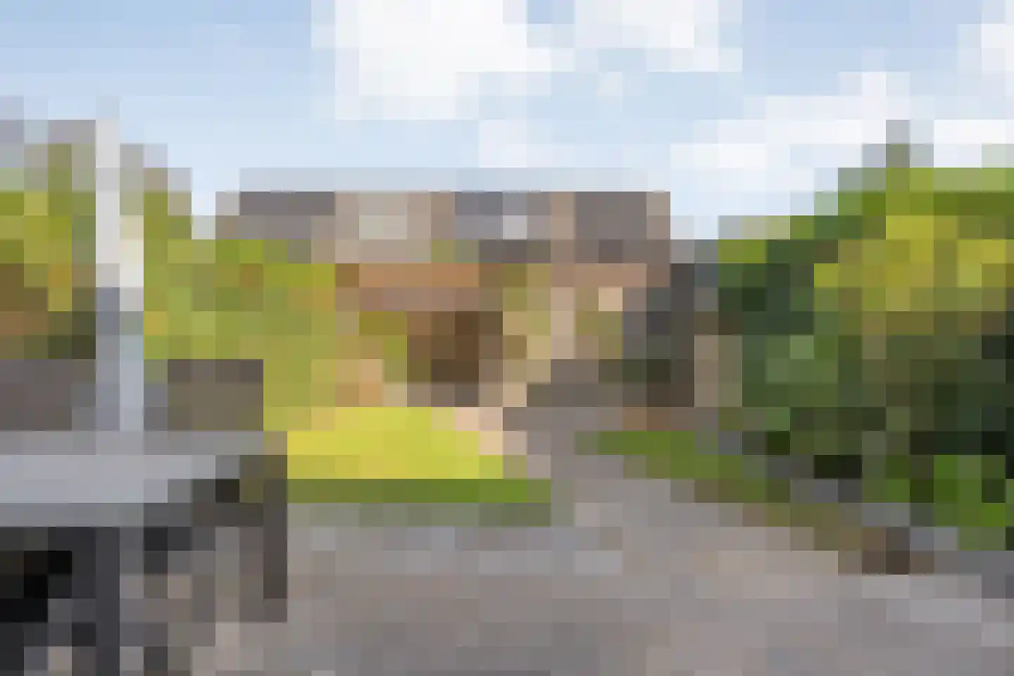 Bernagie 4 Meppel thumbnail 33
