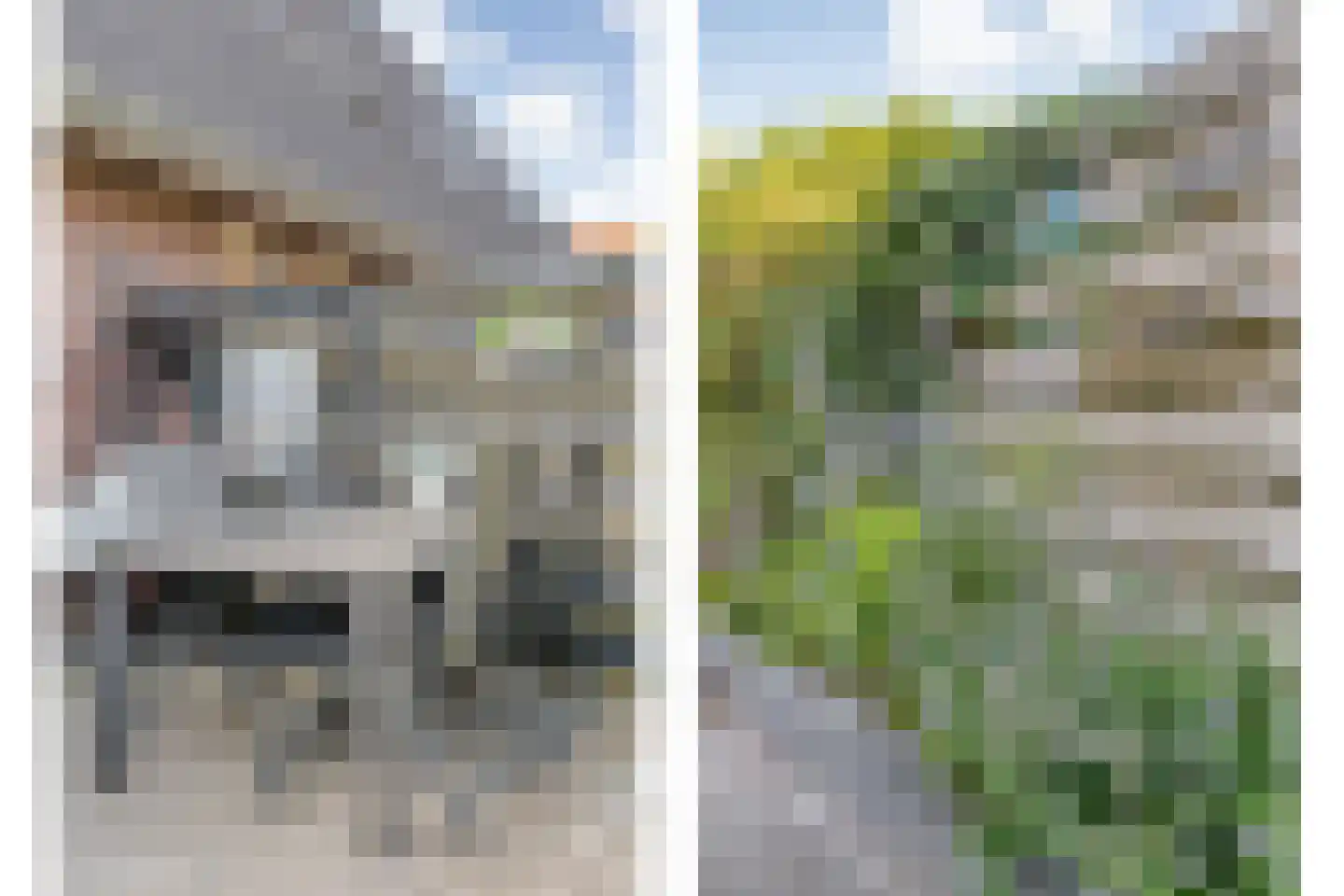 Bernagie 4 Meppel thumbnail 35