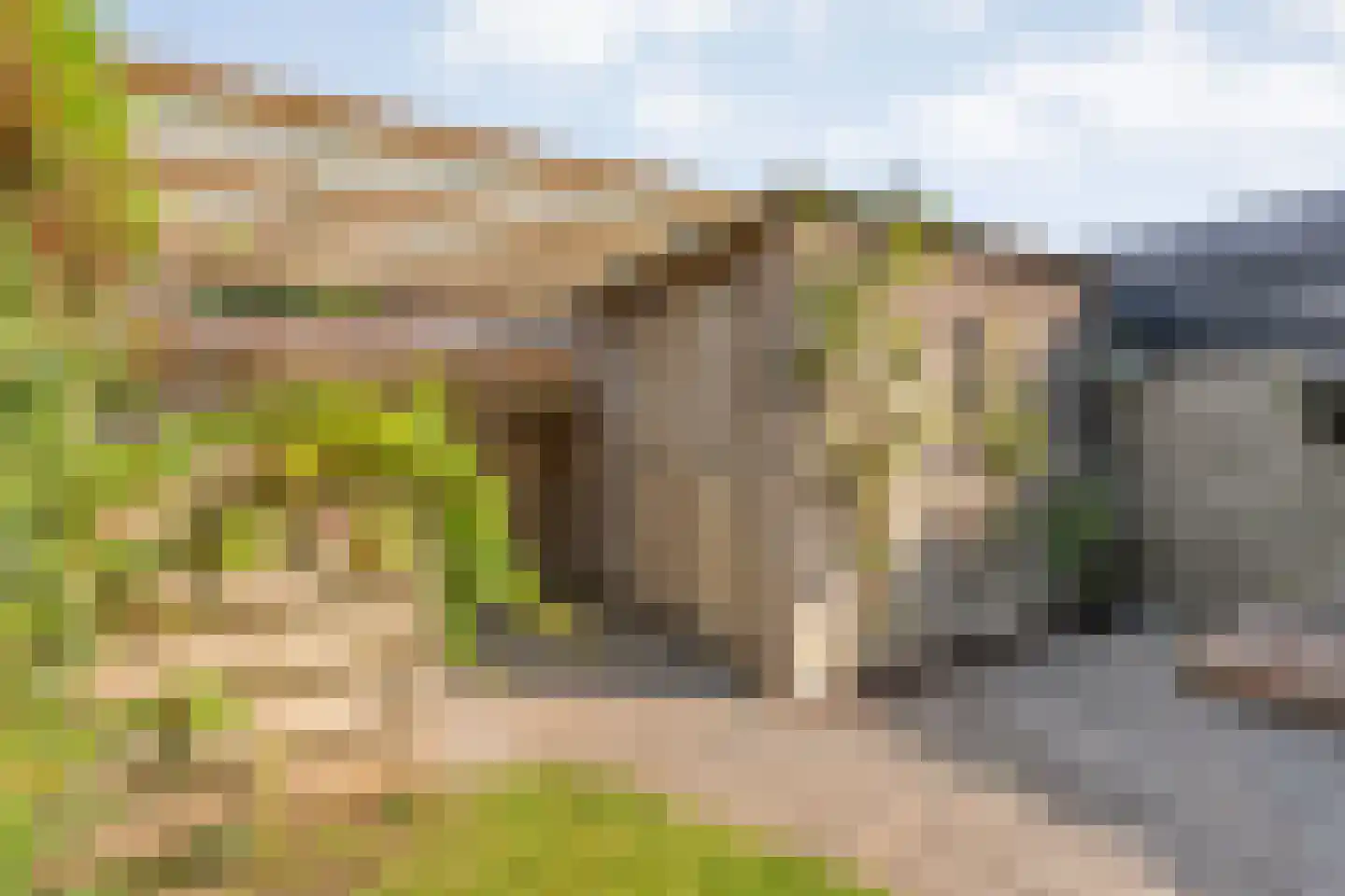 Bernagie 4 Meppel thumbnail 36