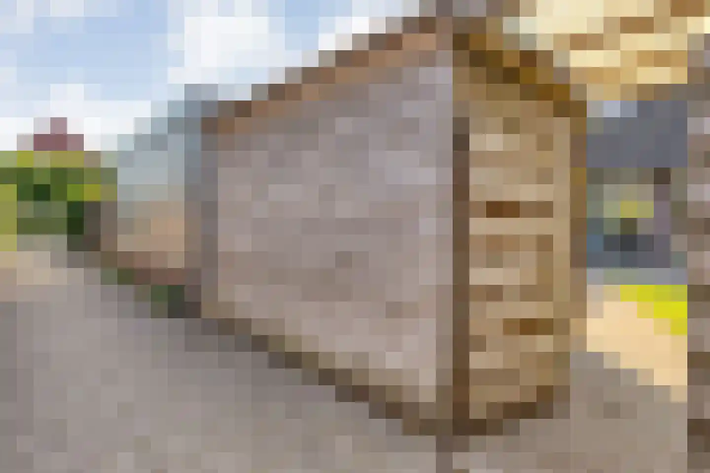 Bernagie 4 Meppel thumbnail 37