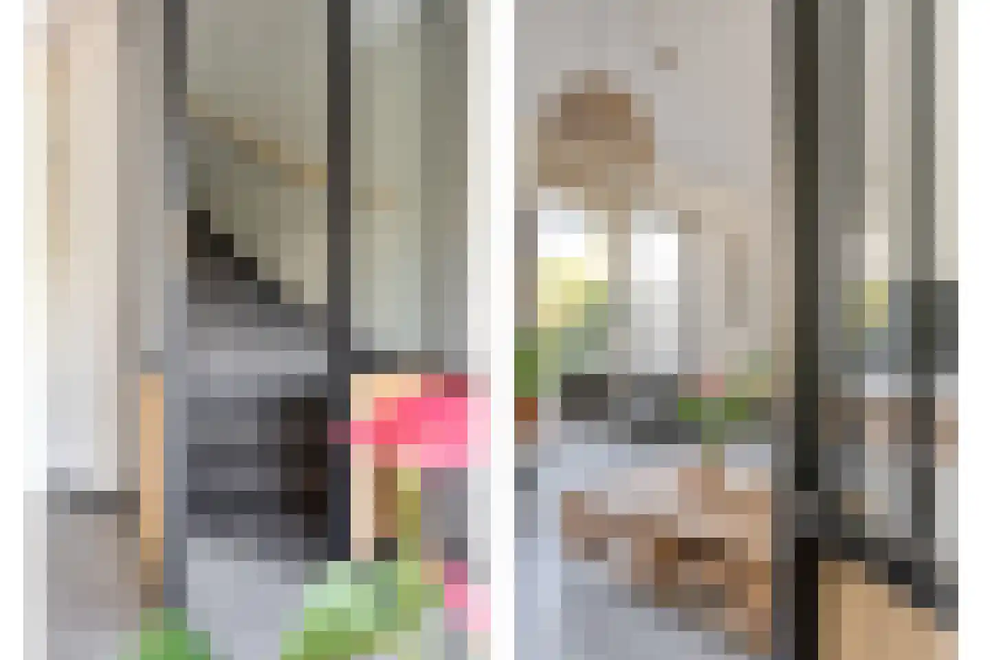Bernagie 4 Meppel thumbnail 4