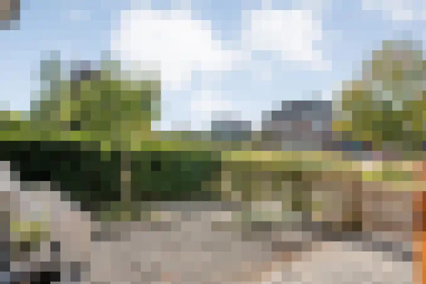 Bernagie 4 Meppel thumbnail 45
