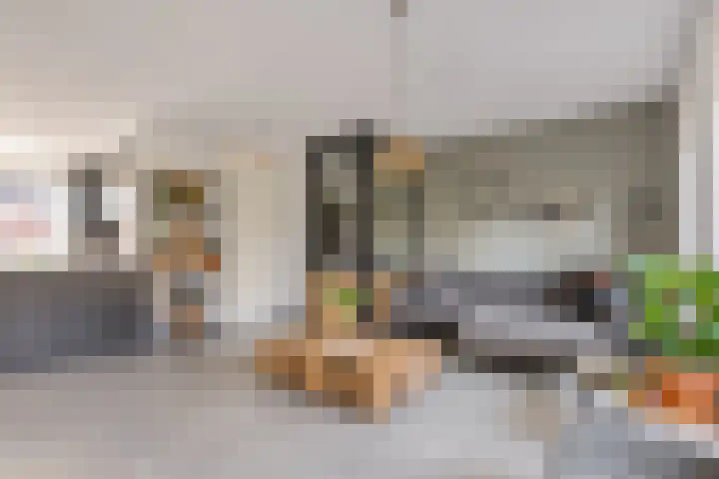 Bernagie 4 Meppel thumbnail 5