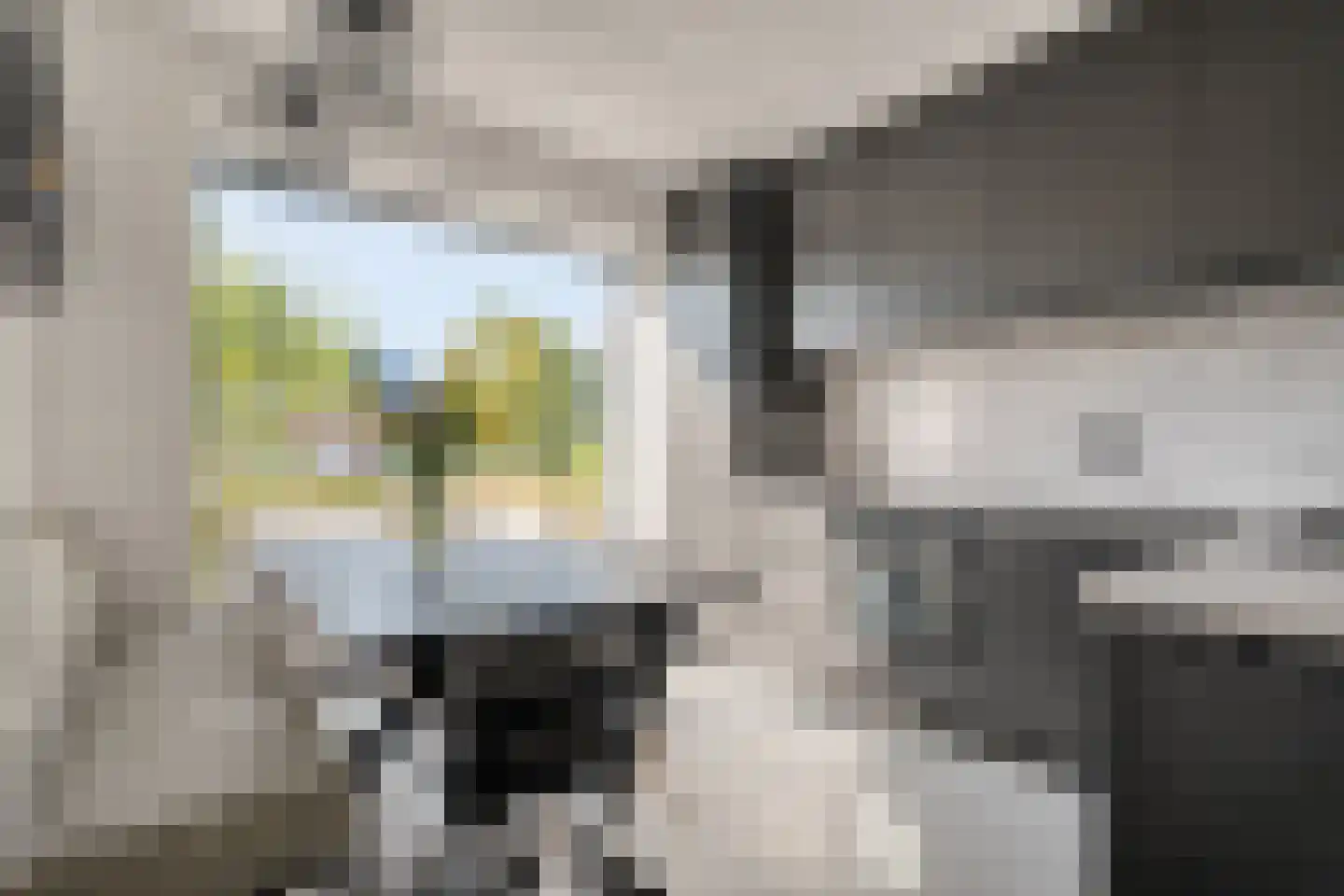 Bernagie 4 Meppel thumbnail 7