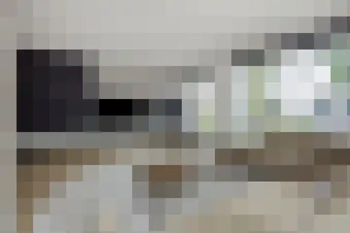 Bernagiestraat 18 's-Hertogenbosch thumbnail 7