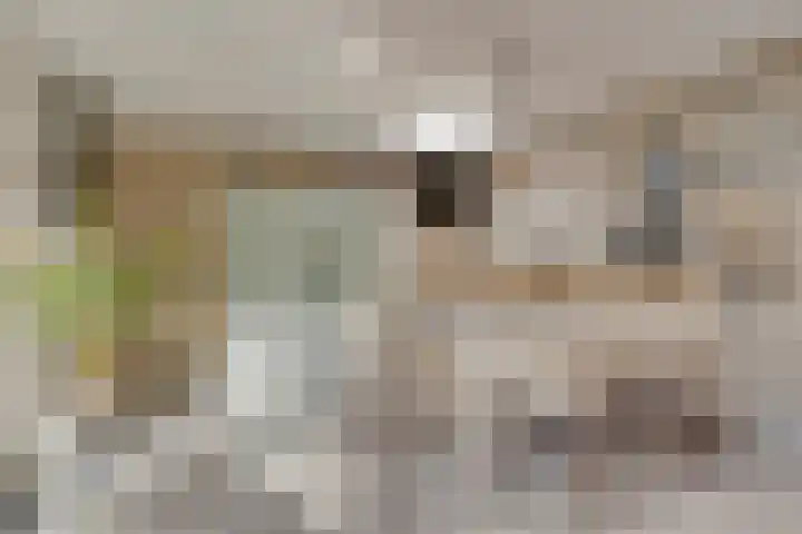 Bernard Beekmansstraat 5 Best thumbnail 15