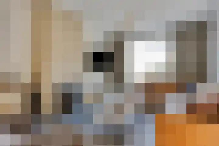 Bernard Beekmansstraat 5 Best thumbnail 8