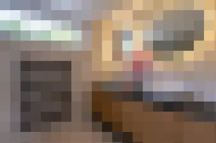 Bernard de la Faillebocht 20 Rotterdam thumbnail 23