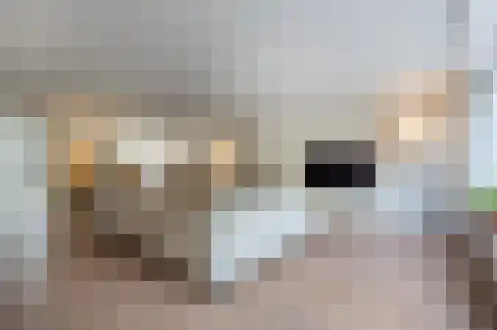 Bernard de la Faillebocht 20 Rotterdam thumbnail 8