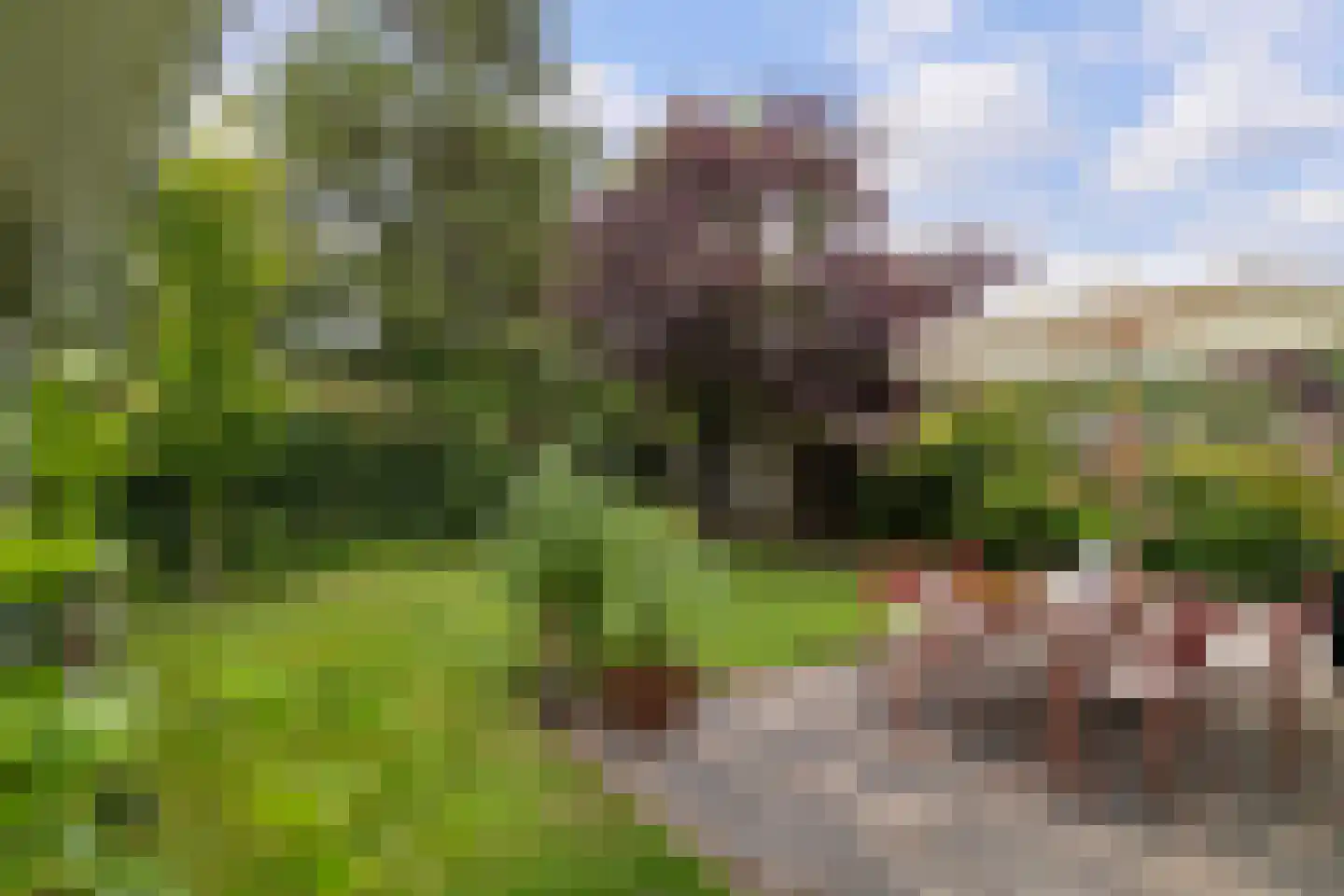 Bernard de la Faillebocht 32 Rotterdam thumbnail 19