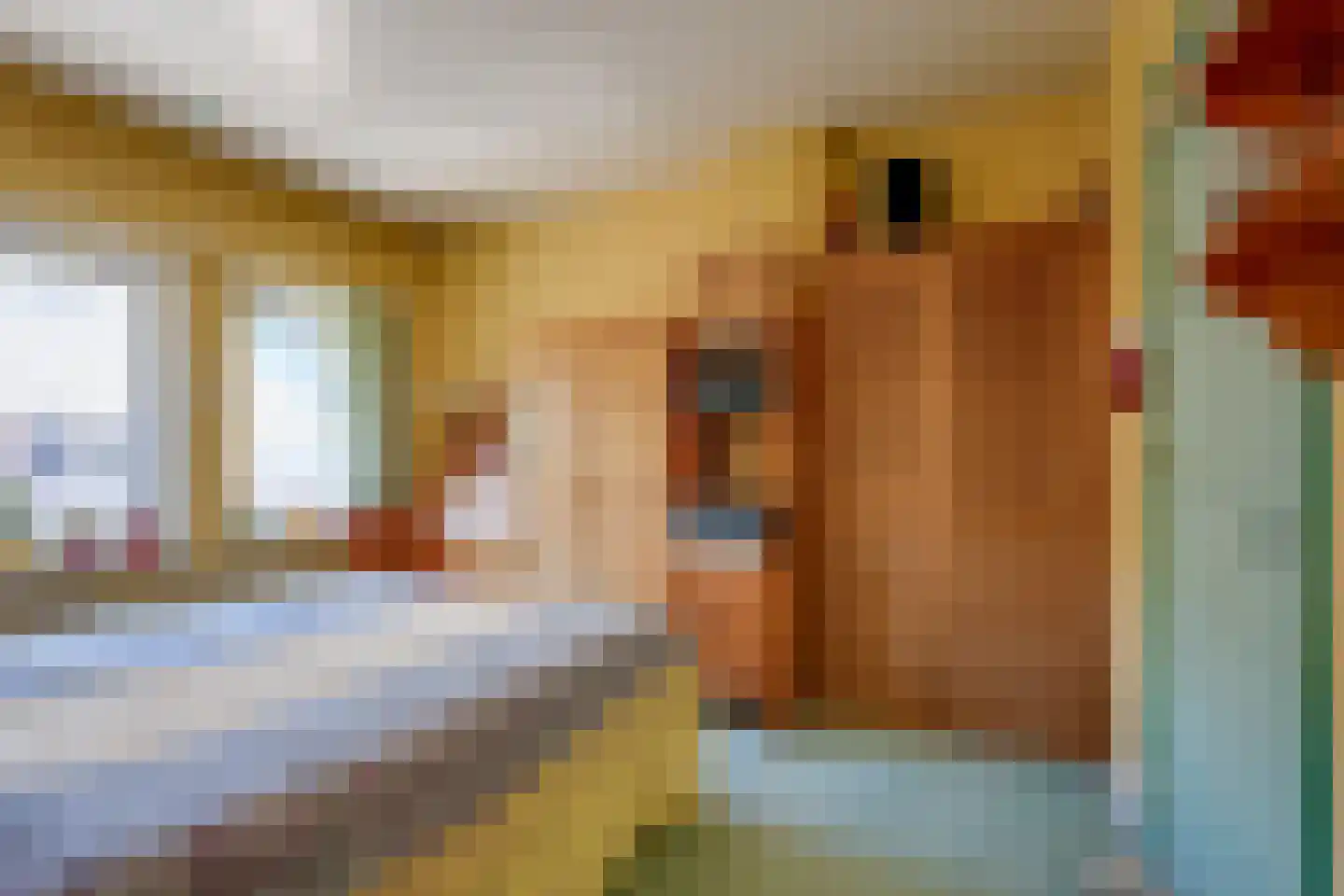 Bernard de Waalstraat 13 Utrecht thumbnail 22