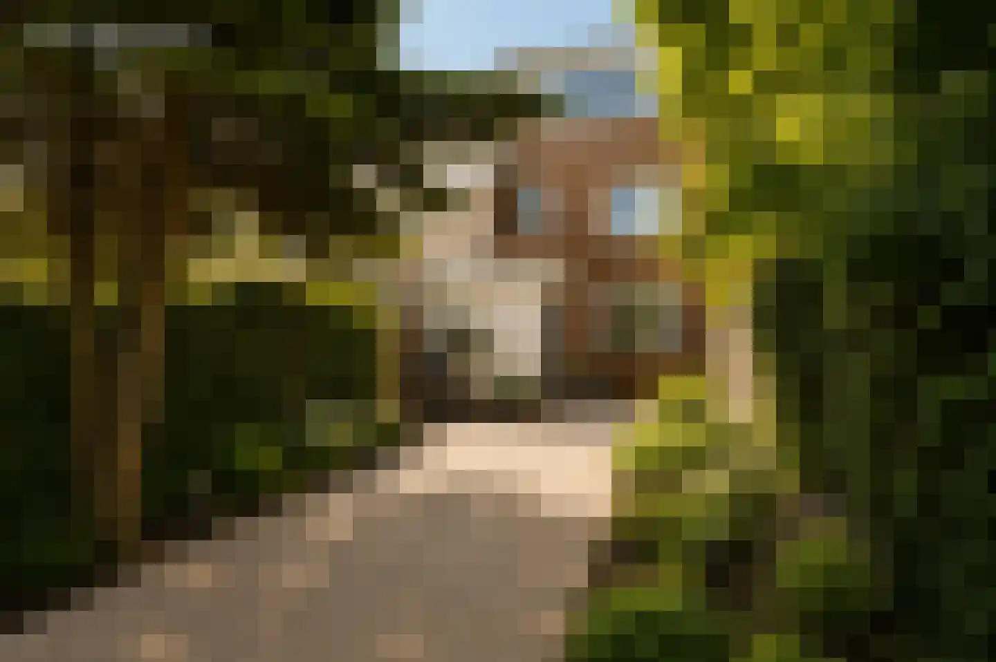 Bernard de Waalstraat 13 Utrecht thumbnail 5