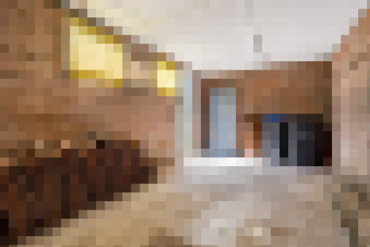 Bernard de Waalstraat 28 Utrecht thumbnail 13