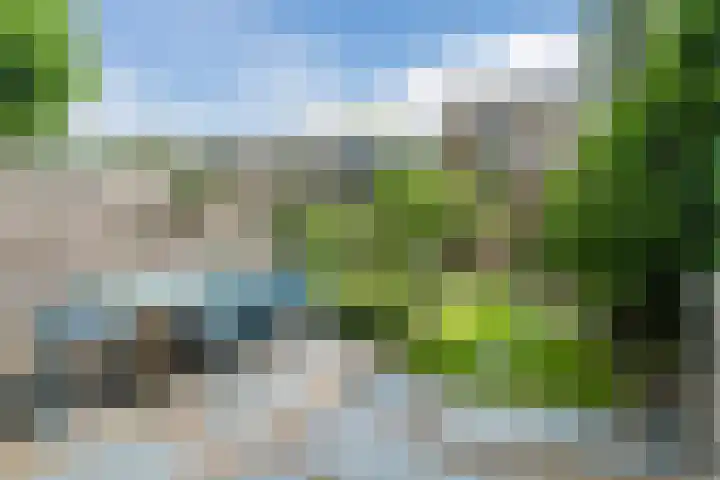 Bernard de Waalstraat 3 Utrecht thumbnail 24