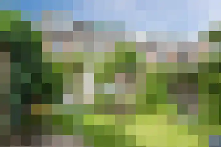 Bernard de Waalstraat 3 Utrecht thumbnail 30