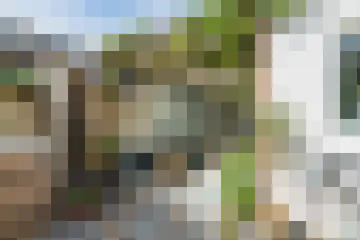 Bernard de Waalstraat 3 Utrecht thumbnail 33