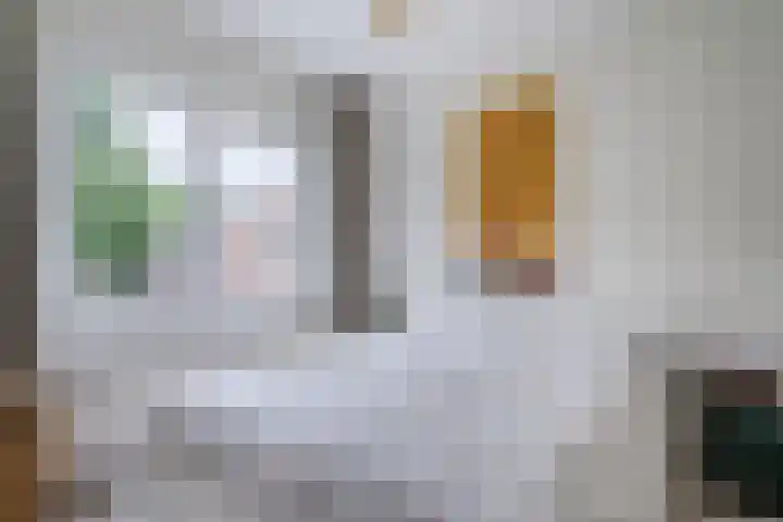 Bernard de Waalstraat 3 Utrecht thumbnail 40