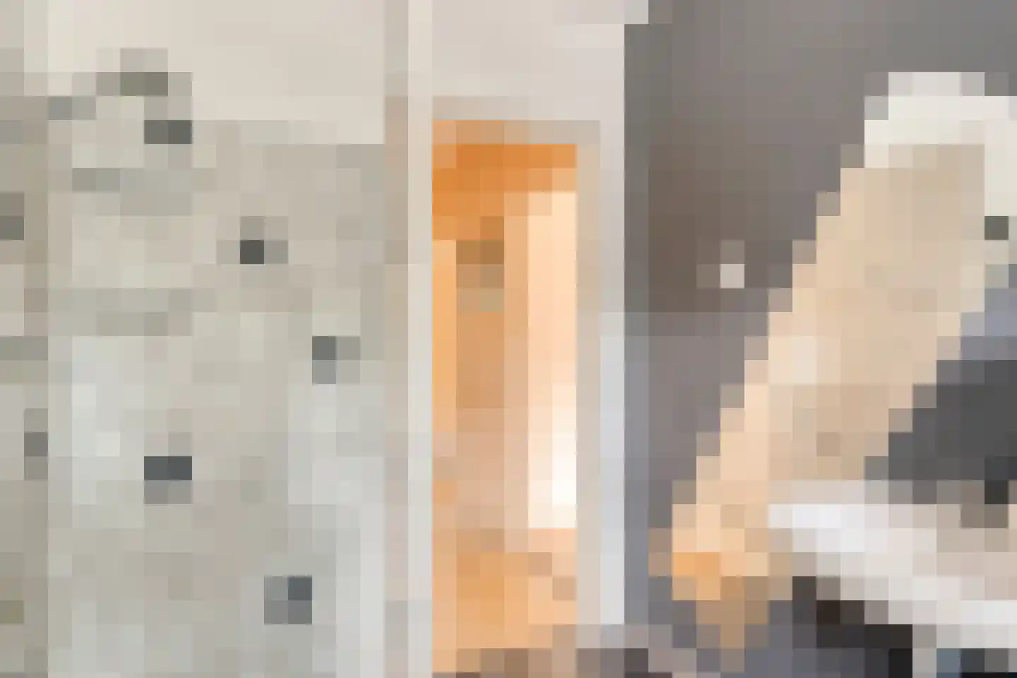 Bernard de Waalstraat 30 Utrecht thumbnail 26