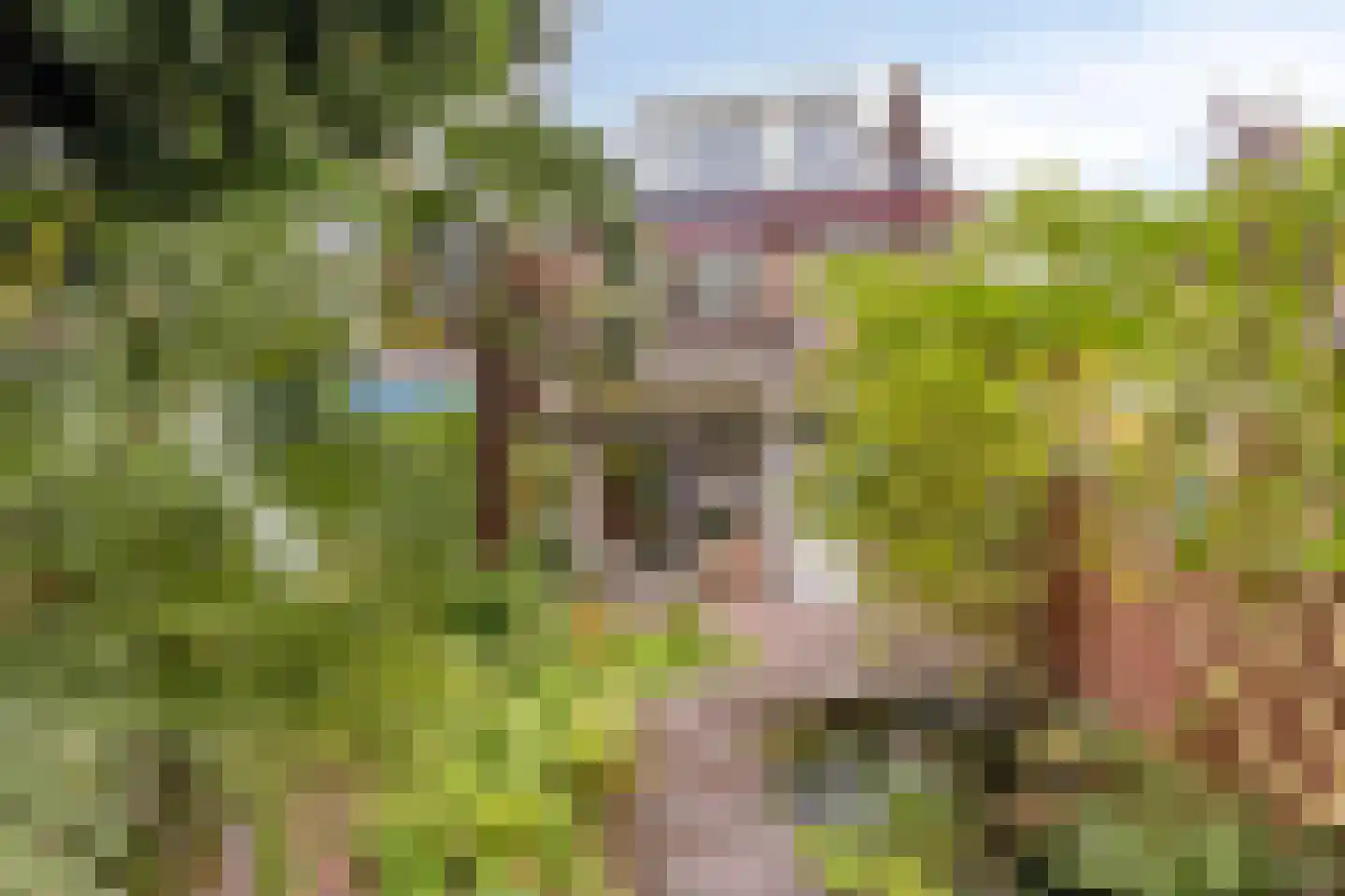 Bernard de Waalstraat 30 Utrecht thumbnail 33