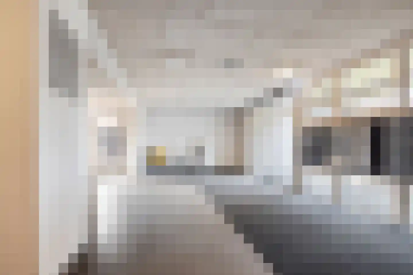 Bernard de Wildestraat 456 Breda thumbnail 25