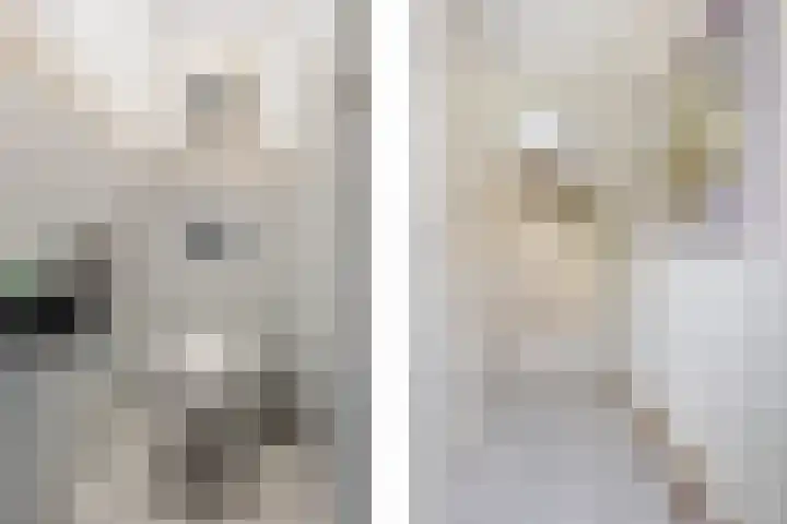 Bernard Haitinkstraat 5 Leiderdorp thumbnail 11