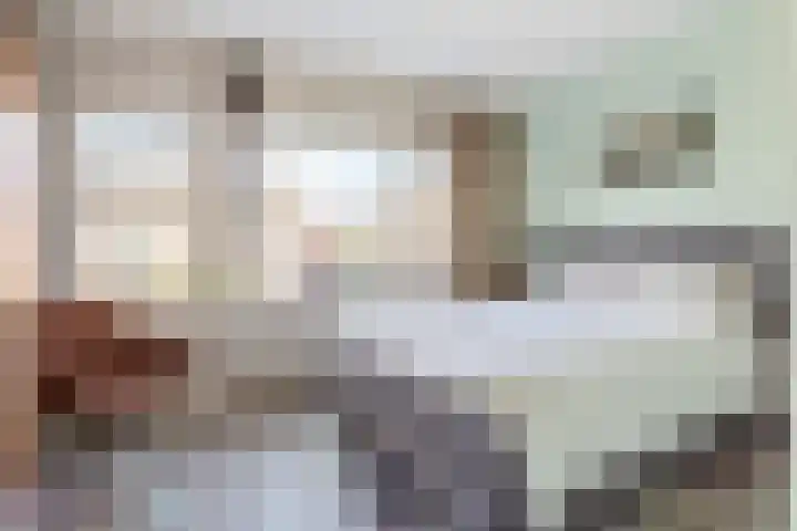 Bernard Haitinkstraat 5 Leiderdorp thumbnail 12