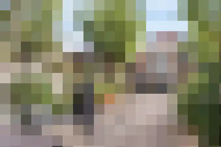 Bernard Haitinkstraat 5 Leiderdorp thumbnail 25
