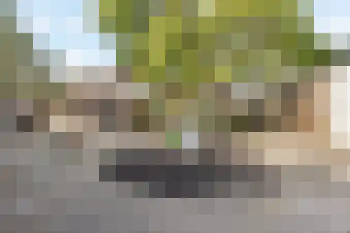 Bernard Haitinkstraat 5 Leiderdorp thumbnail 30