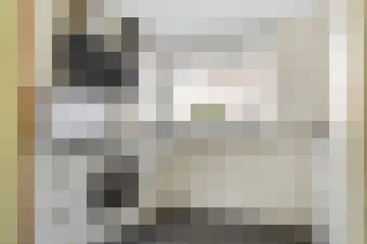 Bernard Haitinkstraat 5 Leiderdorp thumbnail 5