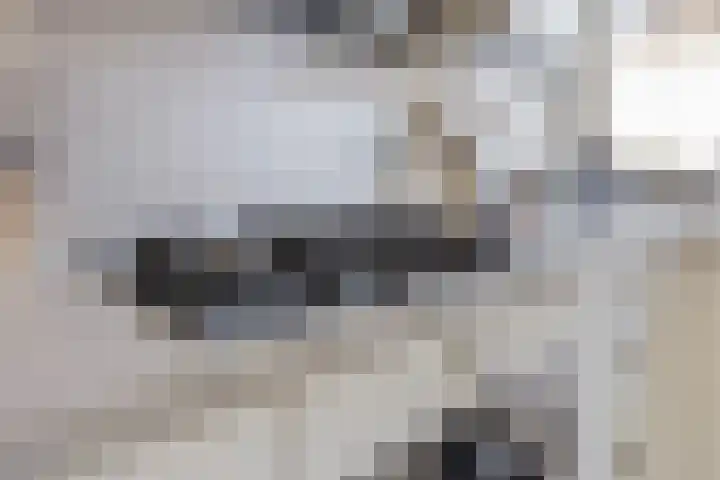 Bernard Haitinkstraat 5 Leiderdorp thumbnail 6