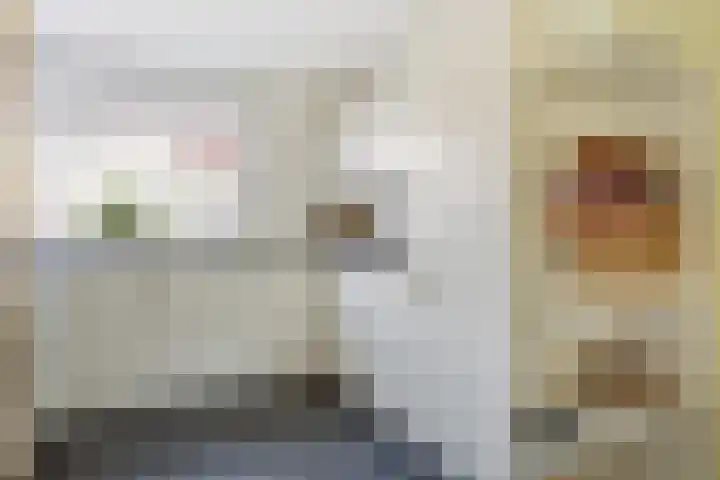 Bernard Haitinkstraat 5 Leiderdorp thumbnail 7