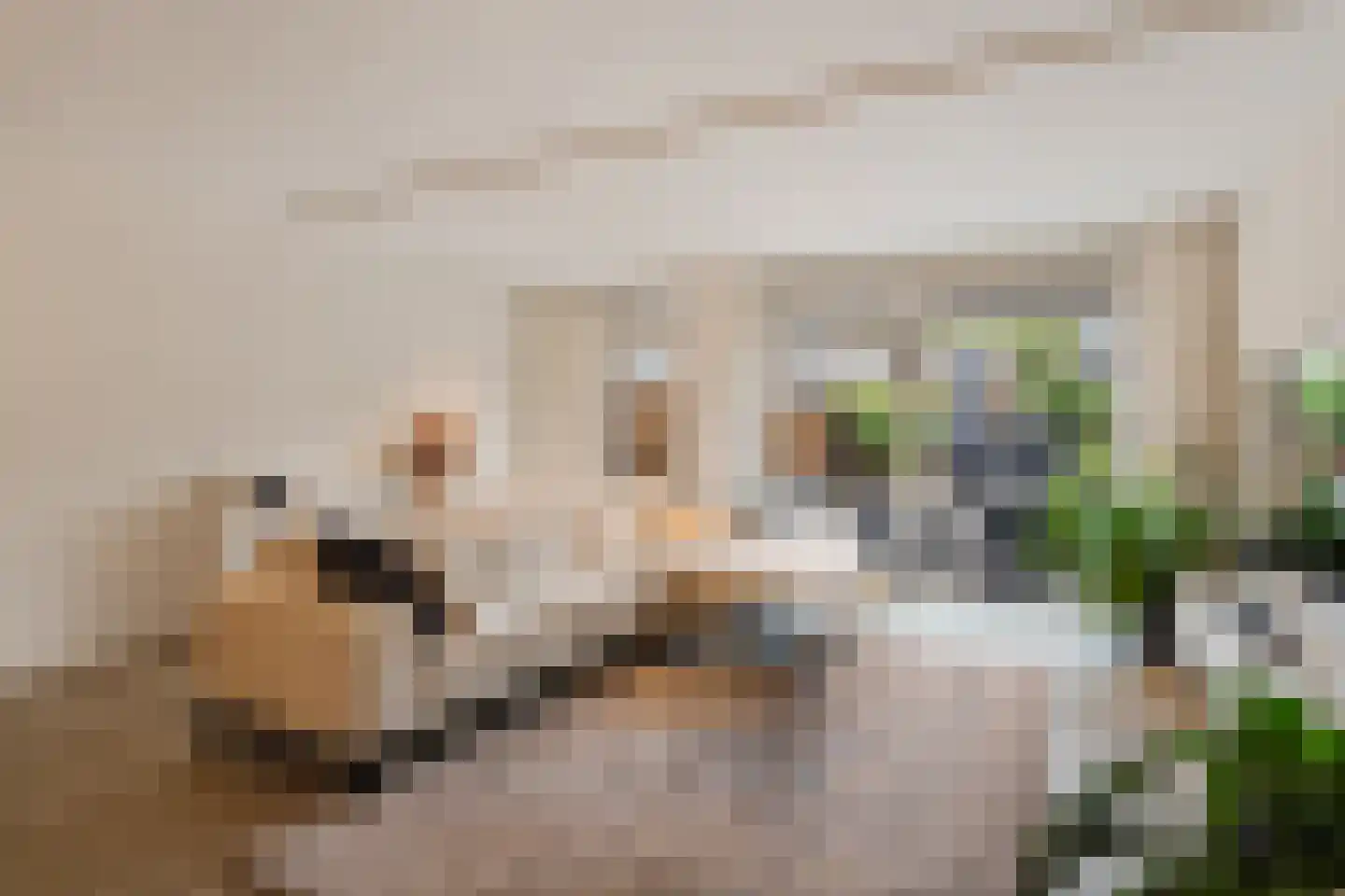 Bernard Haitinkstraat 6 Leiderdorp thumbnail 13