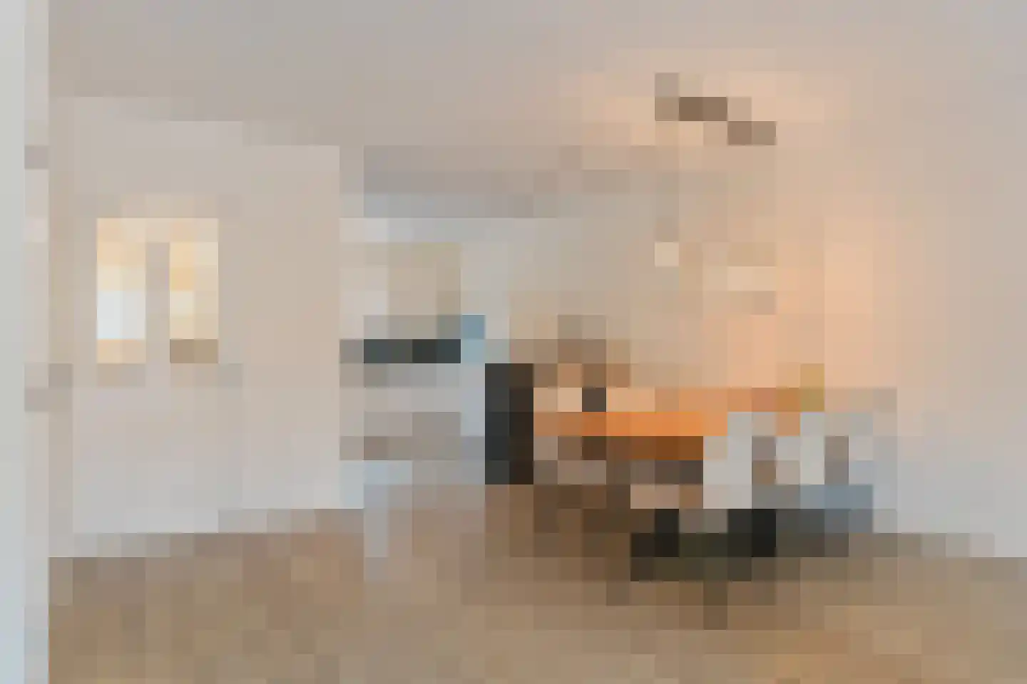 Bernard Haitinkstraat 6 Leiderdorp thumbnail 16