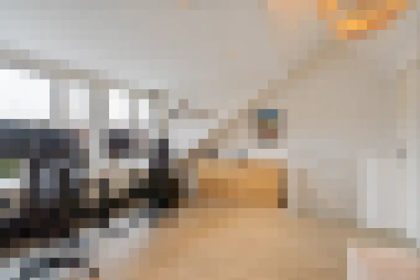 Bernard Haitinkstraat 6 Leiderdorp thumbnail 36