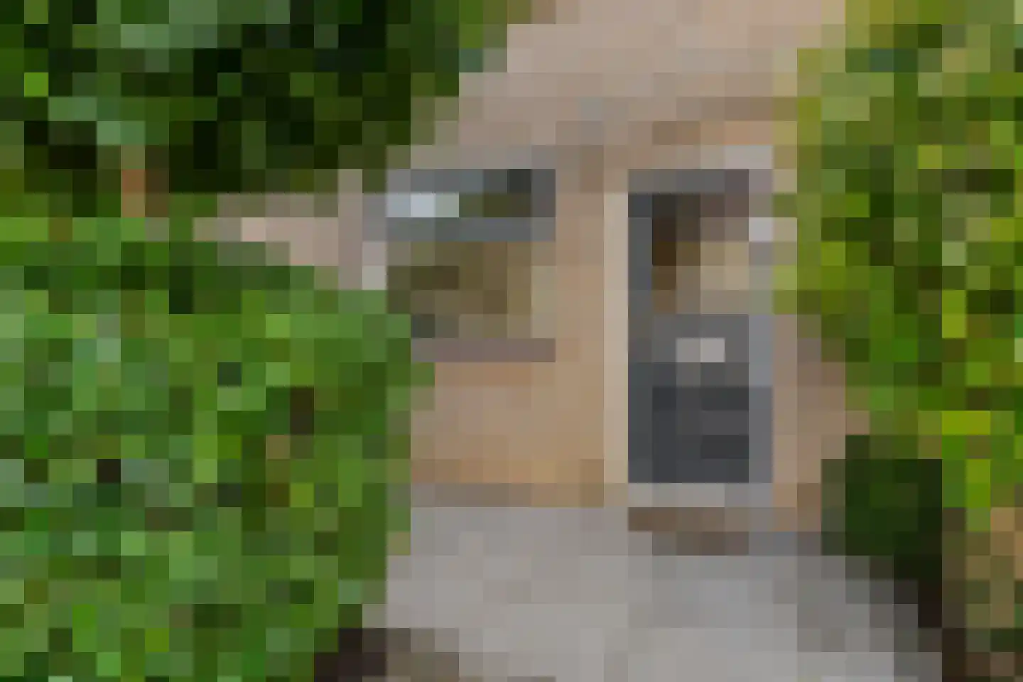 Bernard Haitinkstraat 6 Leiderdorp thumbnail 8