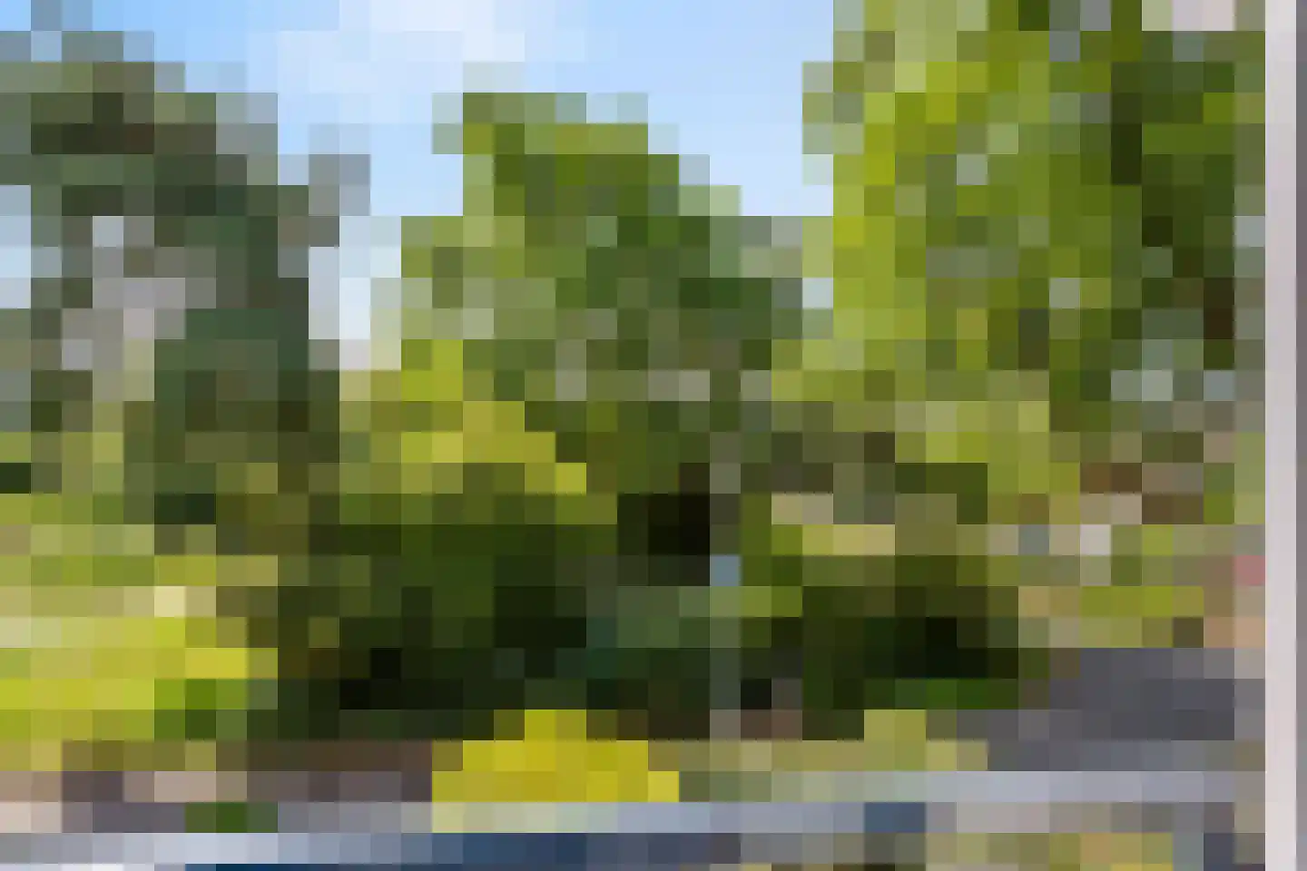 Bernard IJzerdraatplantsoen 20 Leidschendam thumbnail 29